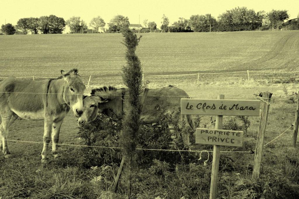 Le Clos De Mara Issus エクステリア 写真